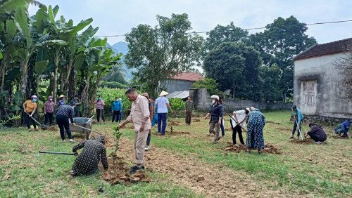 THỰC HÀNH KỸ THUẬT TRỒNG CÂY ĂN QUẢ.jpg