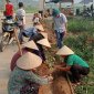 Hội liên hiệp phụ nữ xã Điền Trung tiếp tục trồng hàng rào xanh tại thôn Muỗng Do